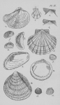 Eben (1884, plaat 4) Eben (1884, plaat 4)