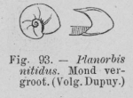 Eben (1884, figuur 93) Eben (1884, figuur 93)