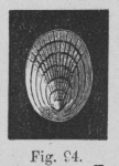 Eben (1884, figuur 94) Eben (1884, figuur 94)