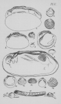 Eben (1884, plaat 5) Eben (1884, plaat 5)