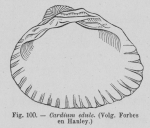 Eben (1884, figuur 100) Eben (1884, figuur 100)