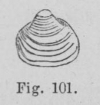 Eben (1884, figuur 101) Eben (1884, figuur 101)