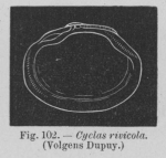 Eben (1884, figuur 102) Eben (1884, figuur 102)
