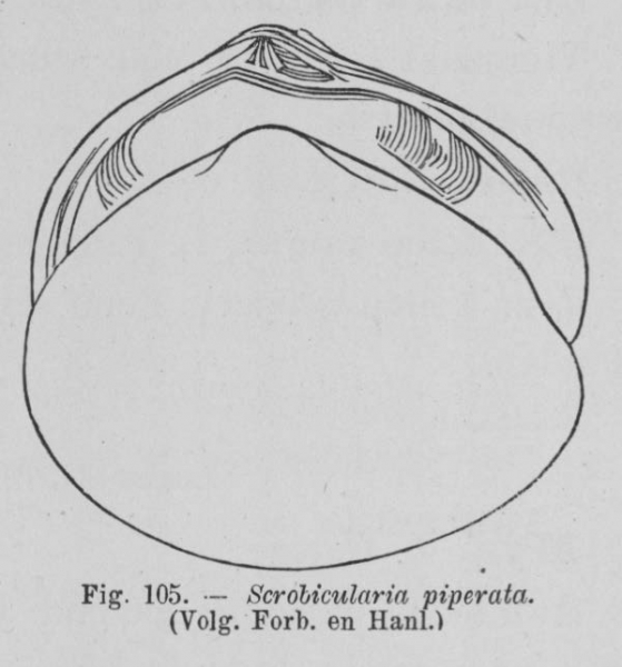 Eben (1884, figuur 105)