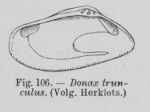 Eben (1884, figuur 106) Eben (1884, figuur 106)