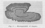 Gilis (1957, figuur 1.3) Gilis (1957, figuur 1.3)