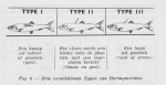 Gilis (1957, figuur 1.8) Gilis (1957, figuur 1.8)