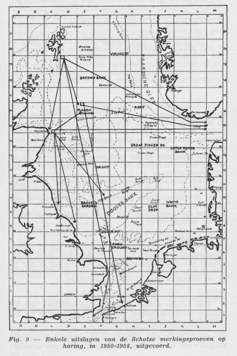 Gilis (1957, figuur 1.9) Gilis (1957, figuur 1.9)
