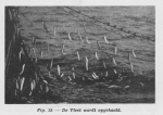 Gilis, Ch. (1957). Voordrachten in verband met de zeevisserij gehouden door Ch. Gilis, technisch adjunct aan het Zeewetenschappelijk Instituut, aan de leerlingen van de visserijscholen in 1957. Zeewetenschappelijk Instituut: Oostende. 50 pp. Gilis, Ch. (1957). Voordrachten in verband met de zeevisserij gehouden door Ch. Gilis, technisch adjunct aan het Zeewetenschappelijk Instituut, aan de leerlingen van de visserijscholen in 1957. Zeewetenschappelijk Instituut: Oostende. 50 pp.