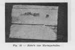 Gilis (1957, figuur 1.16) Gilis (1957, figuur 1.16)