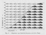 Gilis (1957, figuur 2.8) Gilis (1957, figuur 2.8)