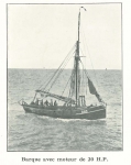 Vandeput (1932, pl. 92) Vandeput (1932, pl. 92)