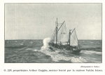 Vandeput (1932, pl. 147) Vandeput (1932, pl. 147)