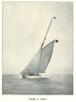 Vandeput (1932, pl. 165) Vandeput (1932, pl. 165)