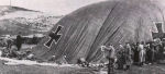 Ryheul (1997, fig. 139)