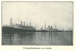 Vandeput (1932, pl. 198) Vandeput (1932, pl. 198)