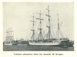 Vandeput (1932, pl. 206) Vandeput (1932, pl. 206)