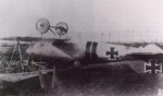 Ryheul (1997, fig. 162)