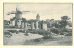 Vandeput (1932, pl. 222)