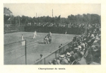 Vandeput (1932, pl. 229)