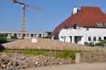 Restanten brugje oesterkweek