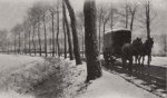 Thys (1922, figuur 43)