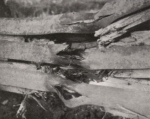 Thys (1922, figuur 112) Thys (1922, figuur 112)