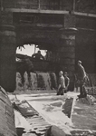 Thys (1922, figuur 113) Thys (1922, figuur 113)