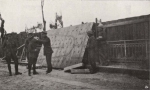 Thys (1922, figuur 115) Thys (1922, figuur 115)