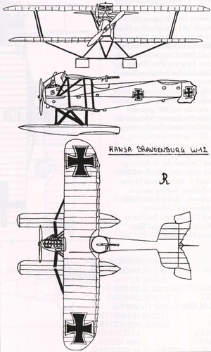 Ryheul (1997, fig. 305)