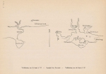 Denucé & Gernez (1936, Pl. 09.2) Denucé & Gernez (1936, Pl. 09.2)