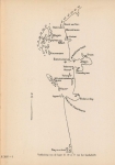 Denucé & Gernez (1936, Pl. 14.1) Denucé & Gernez (1936, Pl. 14.1)