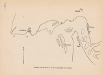 Denucé & Gernez (1936, Pl. 21.2) Denucé & Gernez (1936, Pl. 21.2)