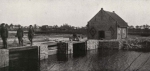 Thys (1922, figuur 455)