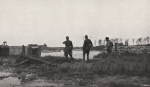 Thys (1922, figuur 459)