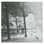 Van Caillie (1983, pl. 5) Van Caillie (1983, pl. 5)