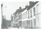 Van Caillie (1983, pl. 101) Van Caillie (1983, pl. 101)