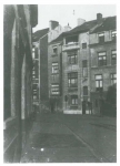 Van Caillie (1983, pl. 111) Van Caillie (1983, pl. 111)
