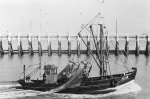 N.146 Georgiana (bouwjaar 1942)