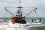 O.152 Aran  (bouwjaar 1966)