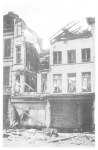 Van Caillie (1985, pl. 101) Van Caillie (1985, pl. 101)