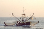 O.700 BiSiTi  (bouwjaar 1968)
