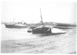 Van Caillie (1987, pl. 6) Van Caillie (1987, pl. 6)