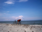 Fiets op strand