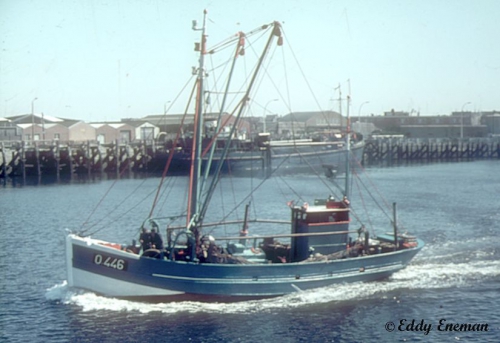 O.446 Dolfijn II  (bouwjaar 1936)