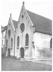 Van Caillie (1987, pl. 100) Van Caillie (1987, pl. 100)