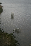 Winkelkarren in water