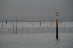 Vilagarcia de Arousa 