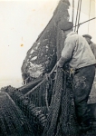 Visser met vangst