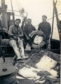 3 vissers met vangst (platvissen)